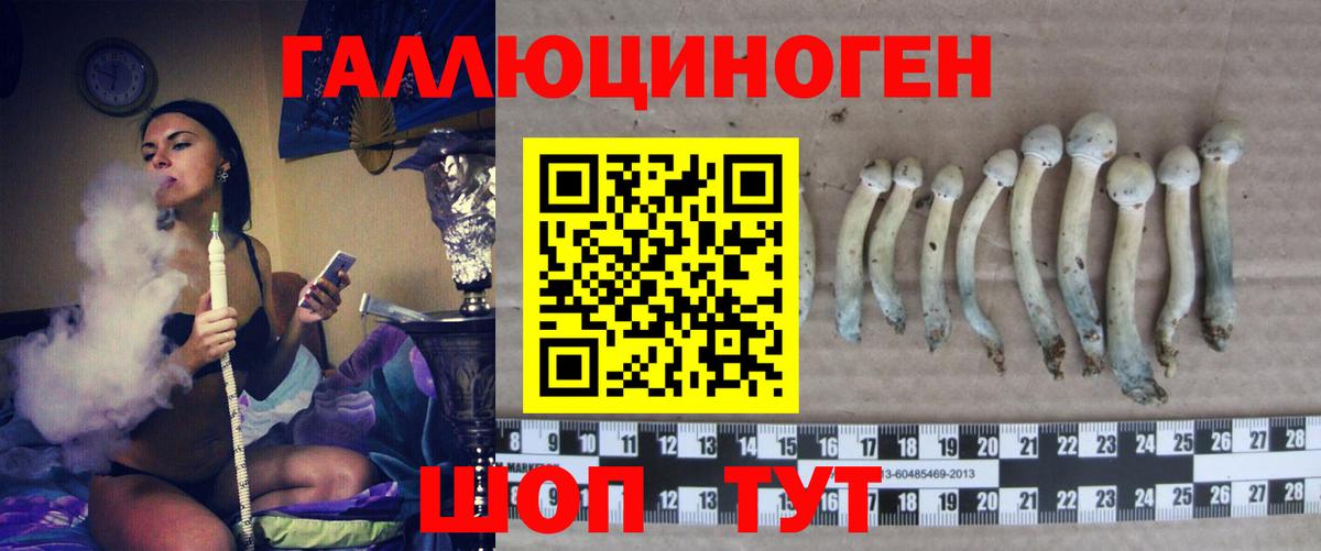 Псилоцибиновые грибы ЛСД Магадан